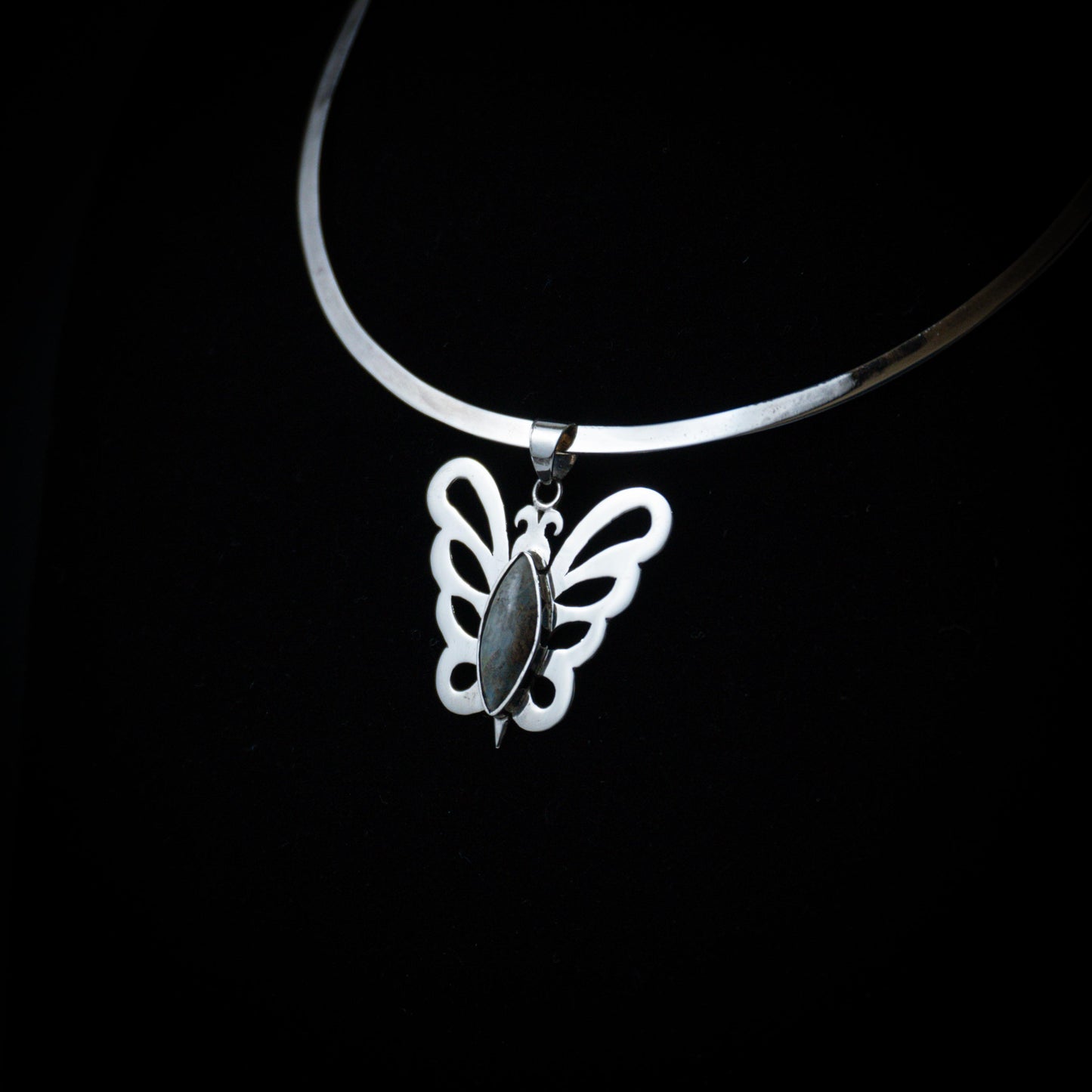 Mariposa de cielo